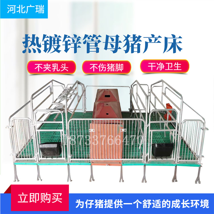 廠家直銷(xiāo)雙體母豬產(chǎn)床保育養(yǎng)豬設(shè)備