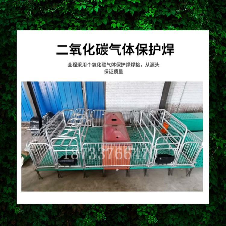 廠家直銷(xiāo)雙體母豬產(chǎn)床保育養(yǎng)豬設(shè)備