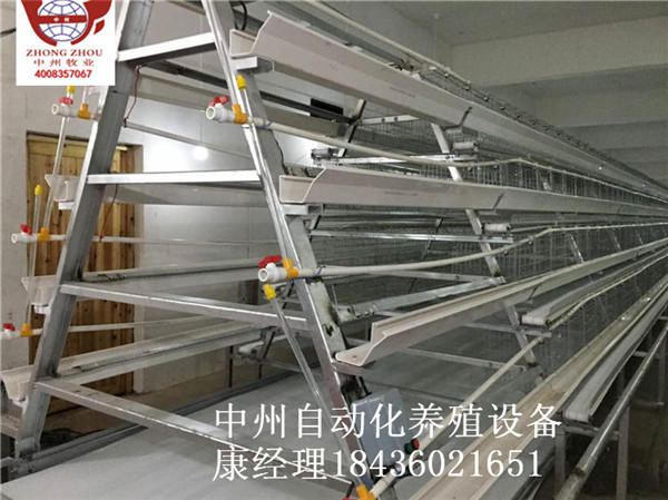 平帶清糞機(jī) 自動傳送帶清糞機(jī) 全自動設(shè)備