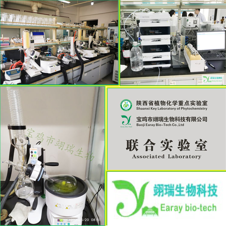 重樓皂苷H  英文名稱：PolyphyllinH CAS：81917-50-2