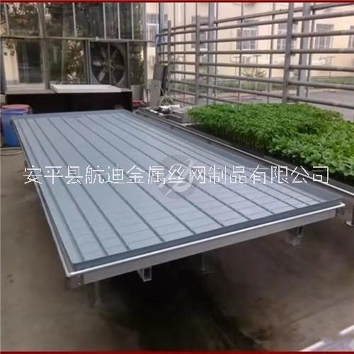 航迪潮汐式種植盤定制 開模加印logo