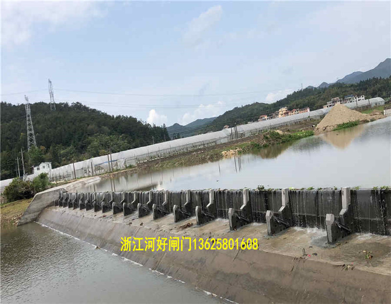 貴州翻板閘門廠家、報(bào)價(jià)、哪家比較好【浙江河好閘門科技有限公司】