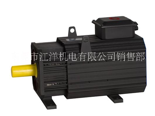 GT系列交流永磁伺服電機(jī) 東莞伺服電機(jī) 東莞節(jié)能電機(jī)