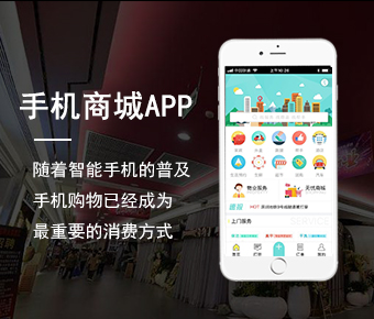 西安APP開發(fā)方案/西安APP定制方案