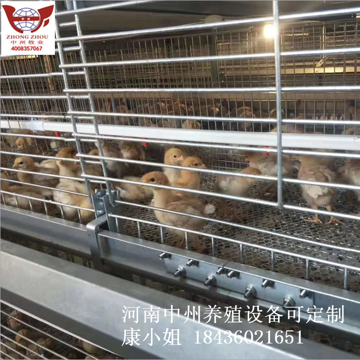 熱鍍鋅蛋雞籠 多層雞籠鐵絲網(wǎng)立體雞籠 養(yǎng)雞設(shè)備