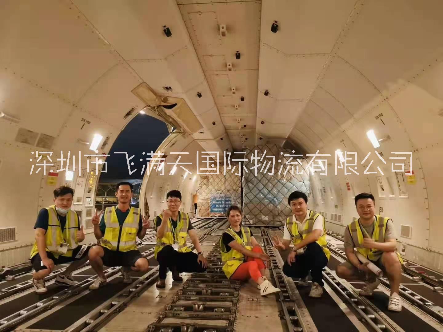 加拿大UPS純電池UPS空派到門，平衡車電池，紐扣電池