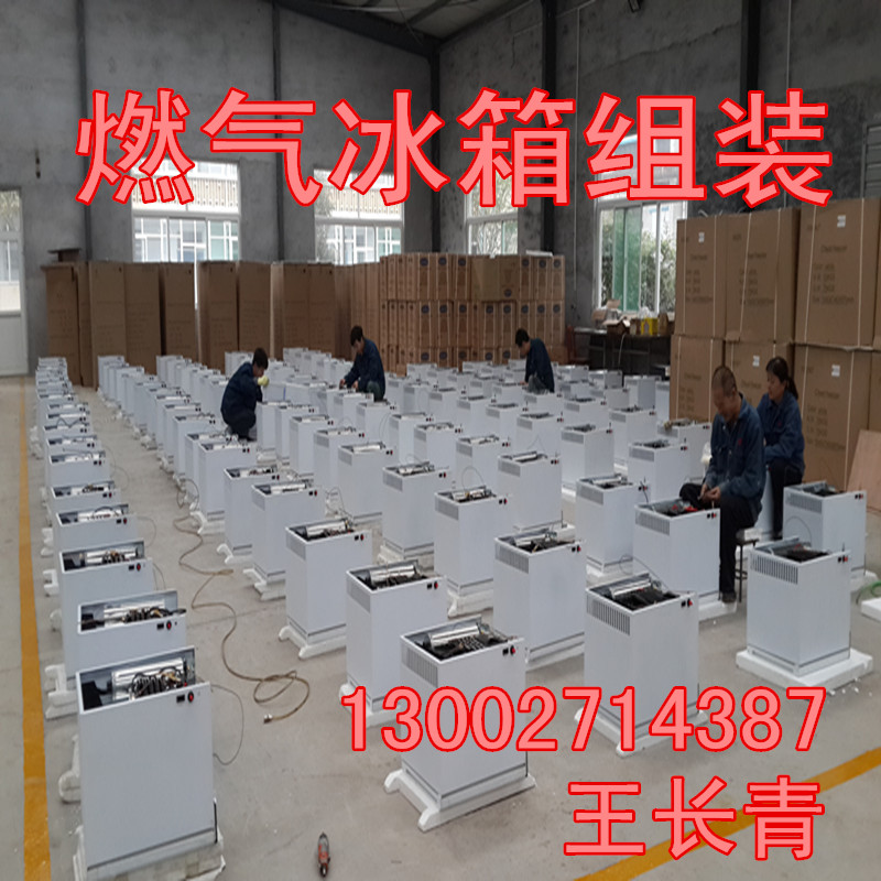 供應(yīng) Gasrefrigerator燃 氣 冰 箱 冷 柜