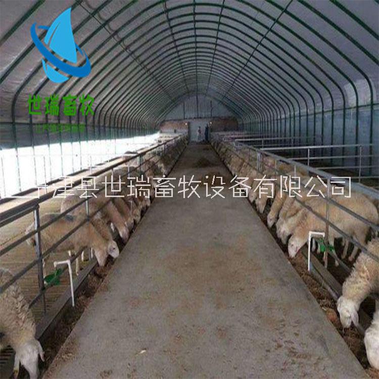 養(yǎng)牛大棚建設(shè) 搭建養(yǎng)牛棚補(bǔ)貼 牛舍價(jià)格