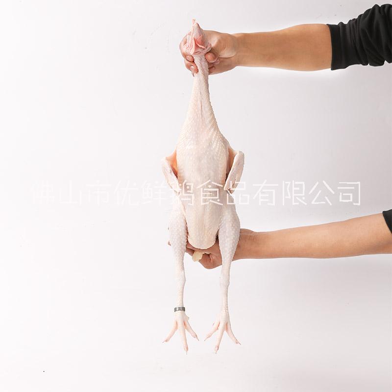 優(yōu)品*清遠(yuǎn)雞批發(fā)雞