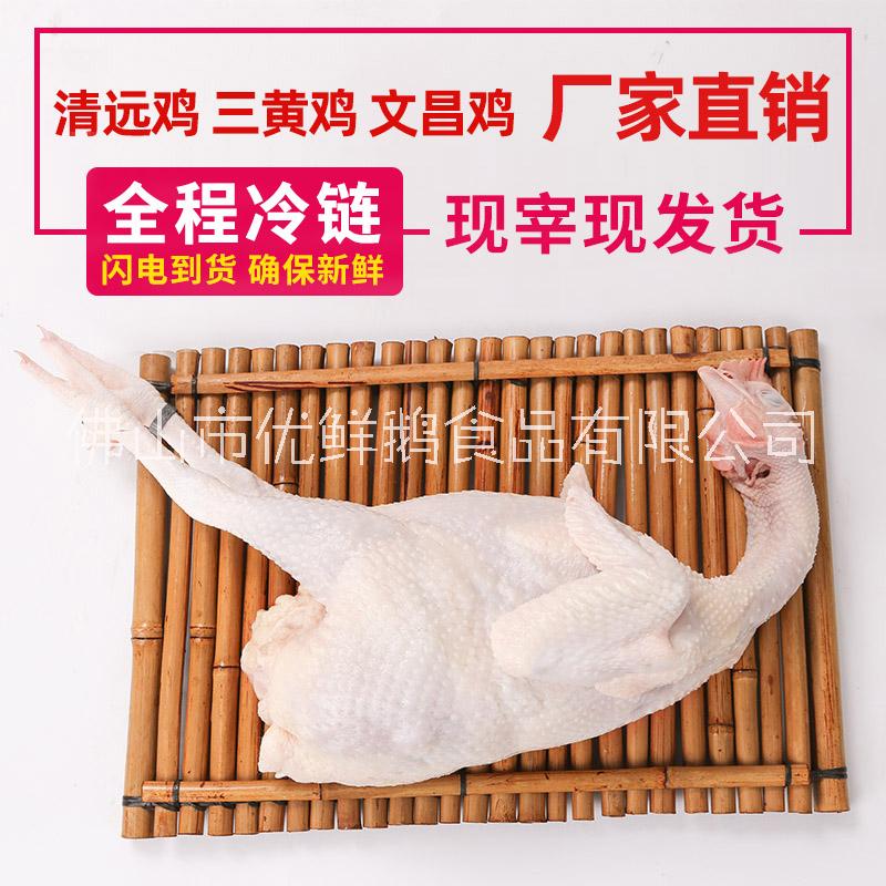 原種*清遠(yuǎn)雞怎么做好吃