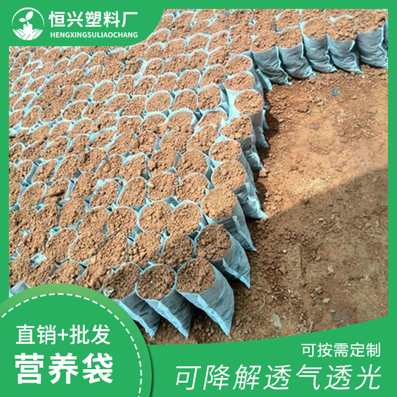 無紡布營(yíng)養(yǎng)袋價(jià)格 無紡布營(yíng)養(yǎng)袋廠家 無紡布育苗袋供應(yīng)