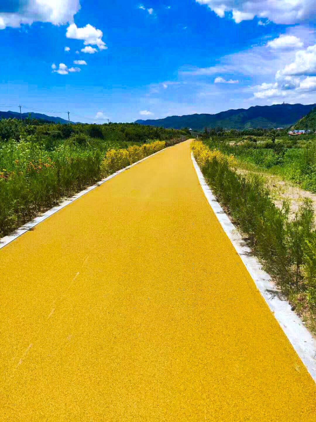 成都市彩色透水混凝土 透水地坪  透水混凝土增強(qiáng)劑