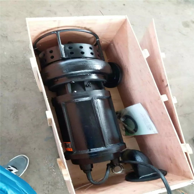 供應(yīng)CSQ潛水泥漿泵  沉淀池泥砂泵  清淤污泥泵