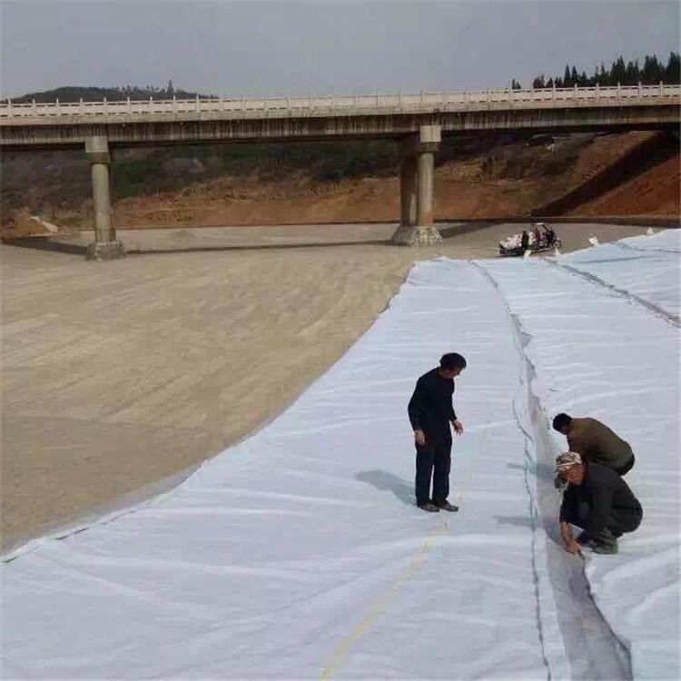 復合土工膜 多種規(guī)格 一布一膜 兩布一膜