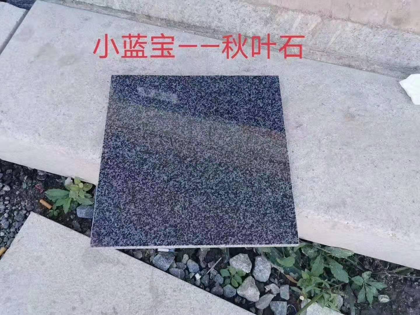 福建小藍寶秋葉石價格 小藍寶秋葉石批發(fā)廠家