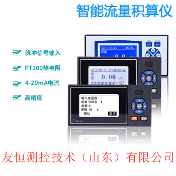 F3000X 智能流量積算儀