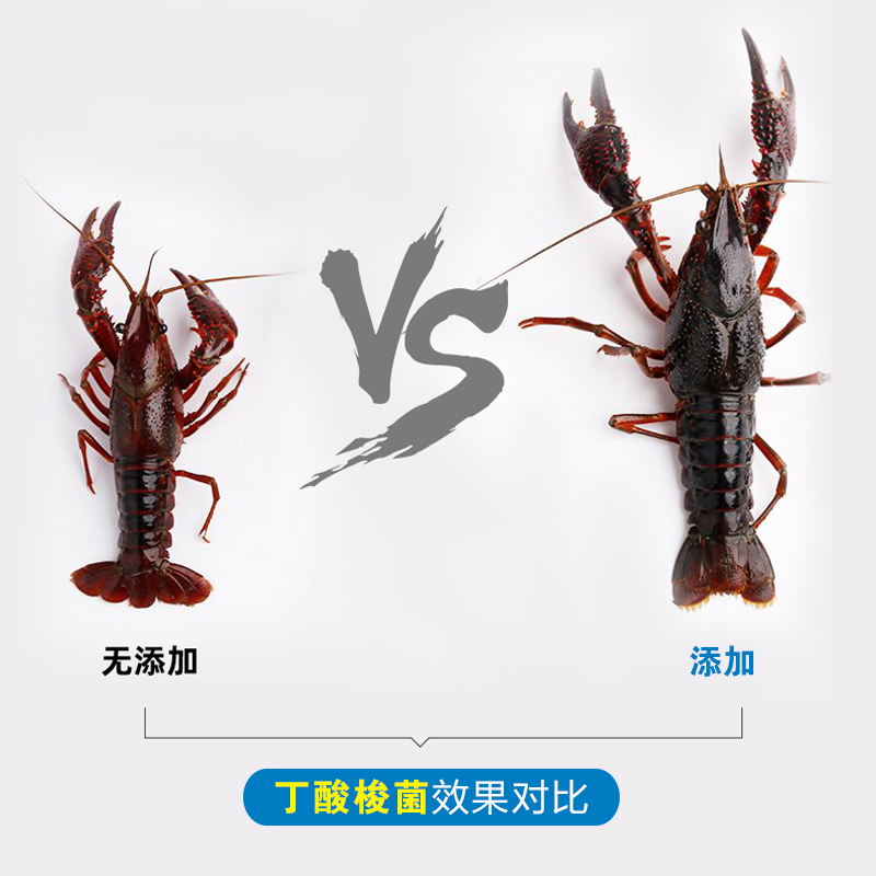 益昊生物 20億*梭菌飼料添加水產(chǎn)養(yǎng)殖調(diào)節(jié)腸道 廠家直銷量大優(yōu)惠