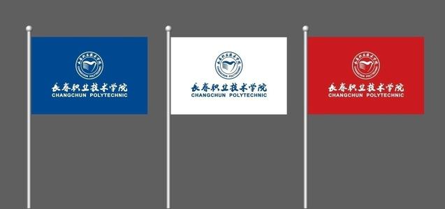 數(shù)碼彩旗定制-廠家-價(jià)格