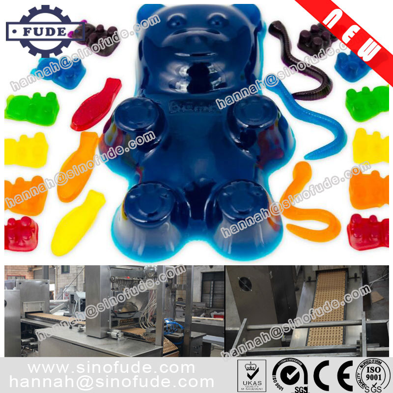 卡拉膠軟糖生產(chǎn)線多少錢   卡拉膠軟糖生產(chǎn)供應(yīng)商