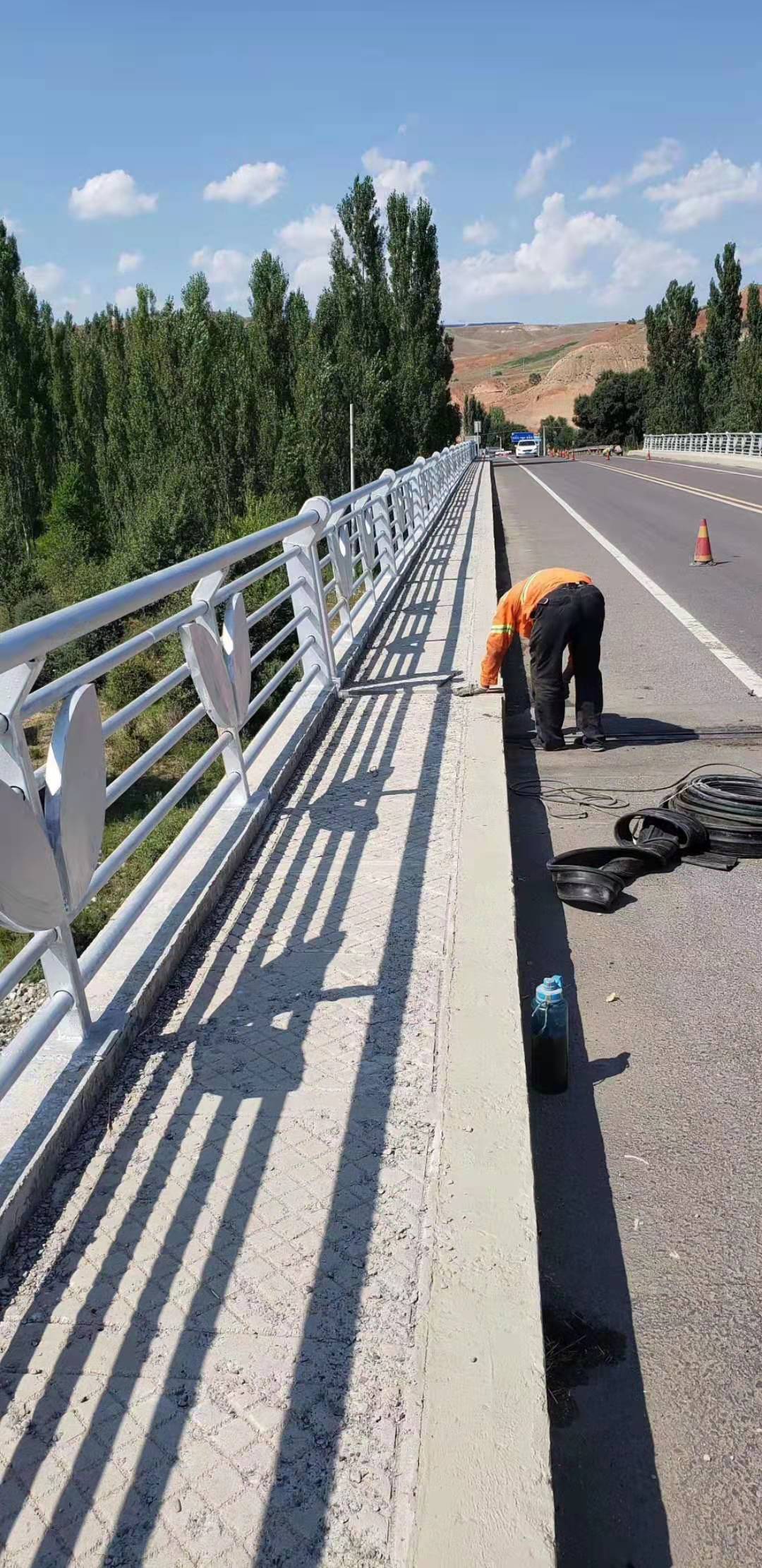 生產(chǎn)不銹鋼隔離護(hù)欄廠家現(xiàn)貨 批發(fā)不銹鋼隔離護(hù)欄價格 不銹鋼隔離護(hù)欄圖片