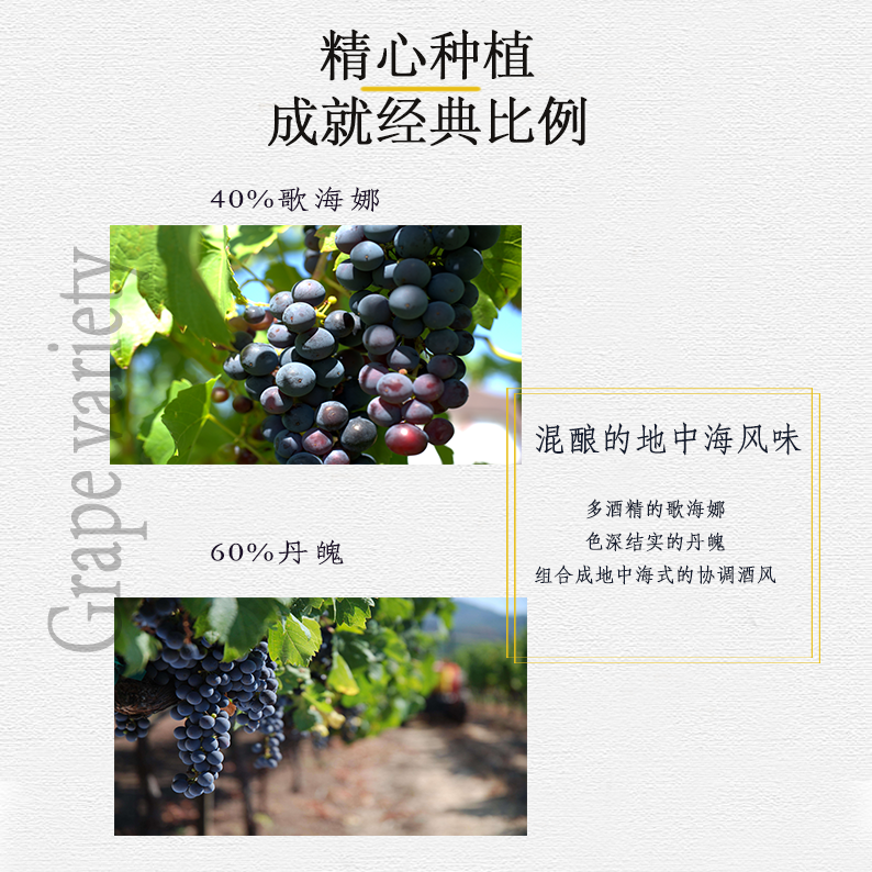 西班牙蒙洛伊精選 醅醍干紅葡萄酒