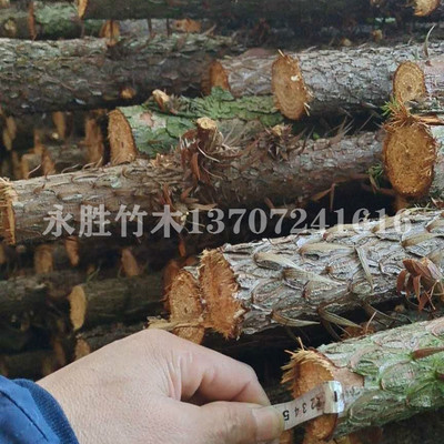 湖北杉木桿價(jià)格_杉木批發(fā) 永勝竹木湖北*發(fā)貨