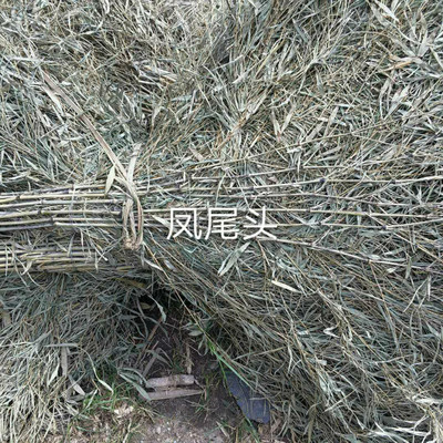 竹掃把_環(huán)衛(wèi)掃把 咸安永勝竹木批發(fā)廠