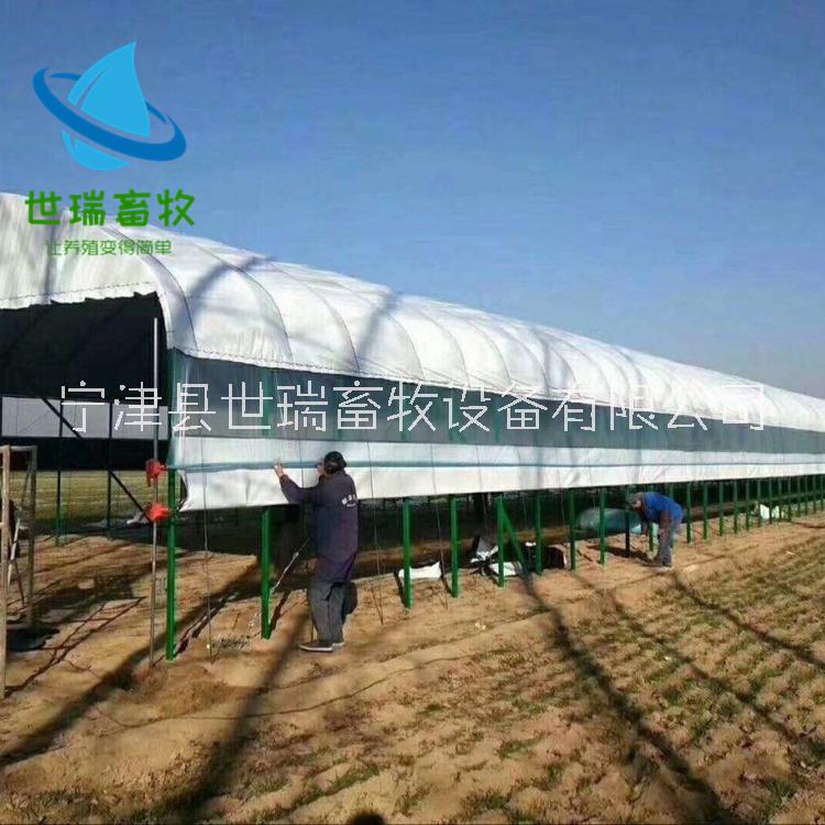 養(yǎng)羊大棚搭建 養(yǎng)羊大棚建設(shè) 養(yǎng)羊大棚價格 羊棚施工