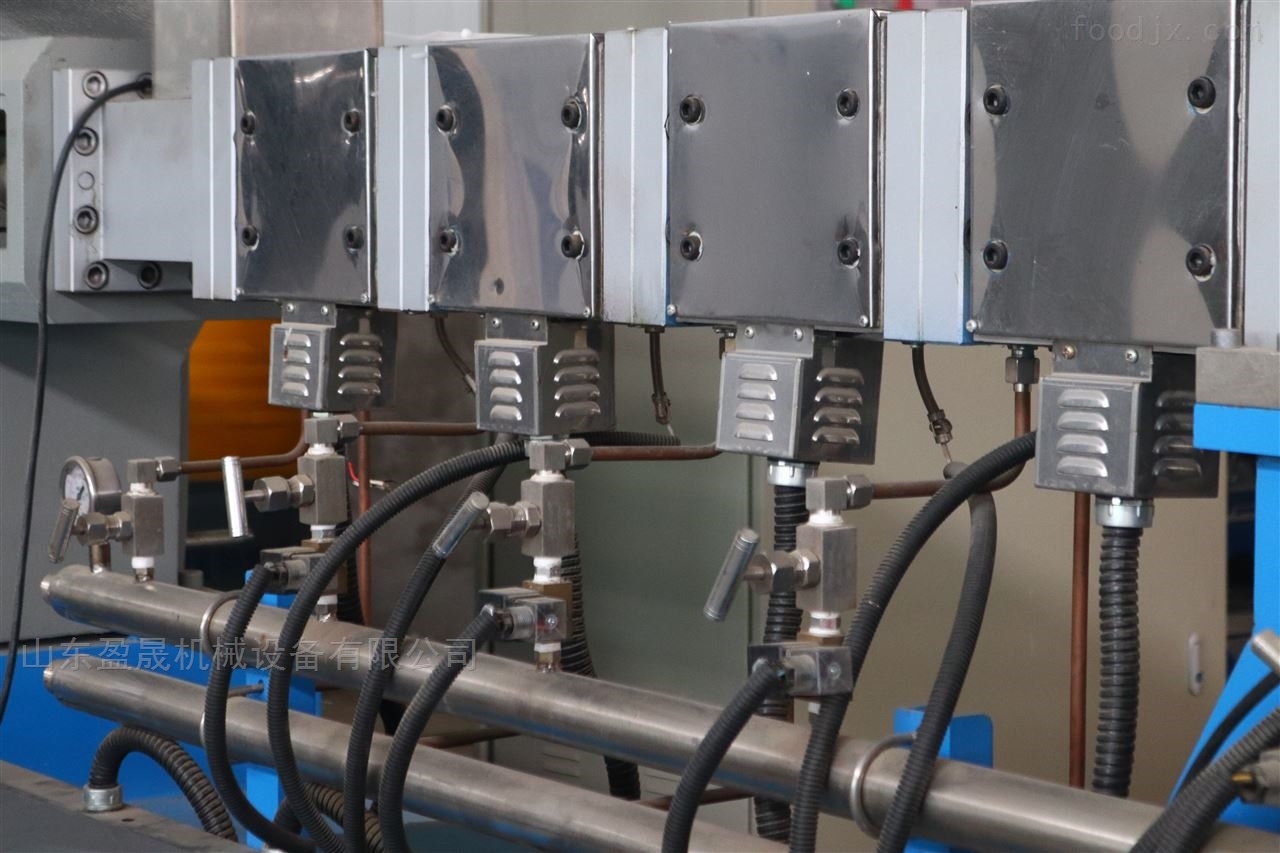 大型雙螺桿寵物飼料生產(chǎn)線YS120-II