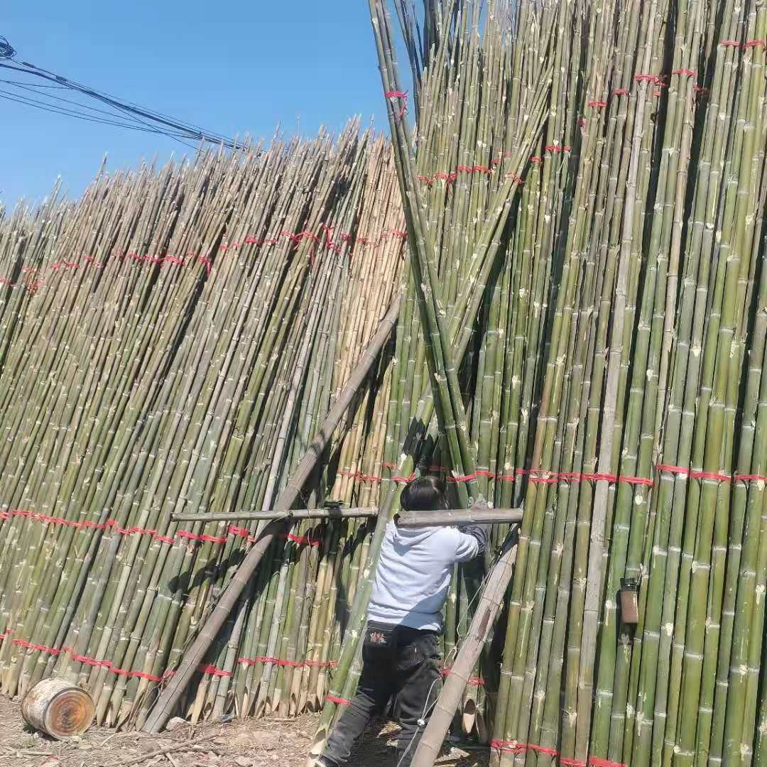 拱棚用竹竿 ， 溫室搭棚竹竿， 竹桿 ，竹竿廠家， 樹木支撐桿供應(yīng)
