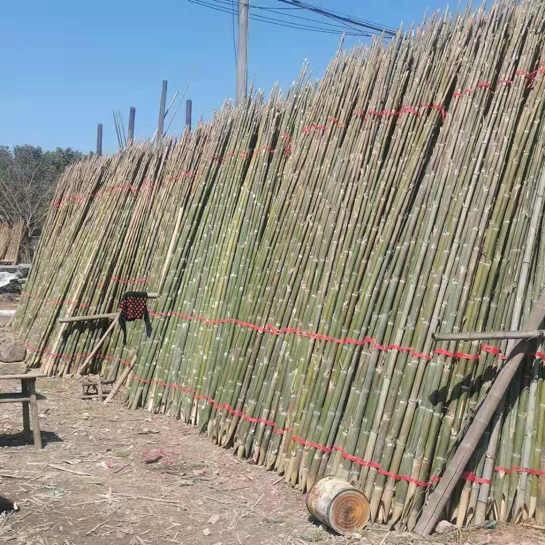 拱棚用竹竿 ， 溫室搭棚竹竿， 竹桿 ，竹竿廠家， 樹木支撐桿供應(yīng)