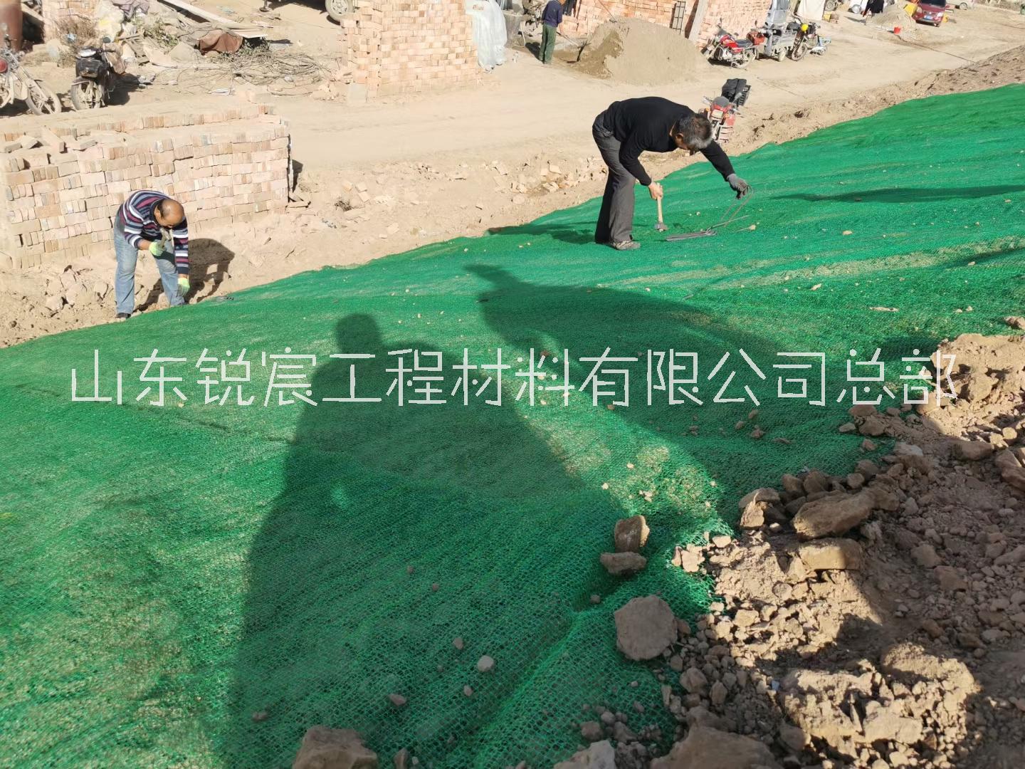 三維植被網(wǎng)生態(tài)綠化網(wǎng)墊植草護(hù)坡固土工網(wǎng)墊