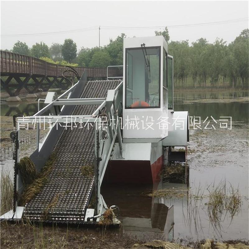 廠家供應青海小型割草船 自動苲草清理船 河道清漂船
