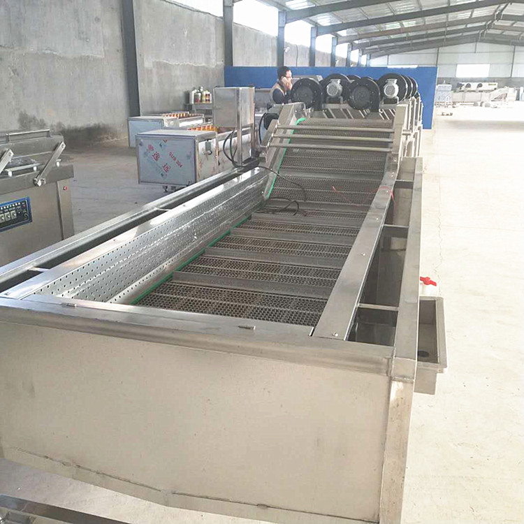 800-大姜高壓噴淋氣泡清洗機定制大姜深加工全套設(shè)備