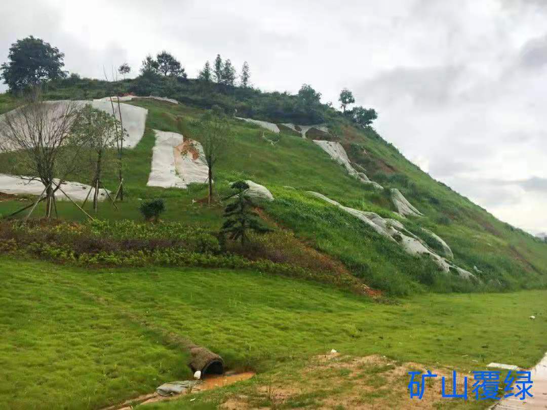 礦山覆綠綠化 山坡綠葉網(wǎng) 礦山覆綠化