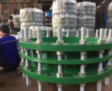 VSSJAF噴塑雙法蘭傳力接頭 河南供應(yīng)商