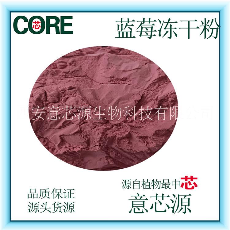 藍莓粉果蔬粉現貨 藍莓粉果粉現貨廠家