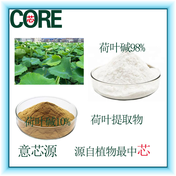 荷葉堿/荷葉提取物/荷葉粉10%98%廠家生物科技10:1荷葉浸膏
