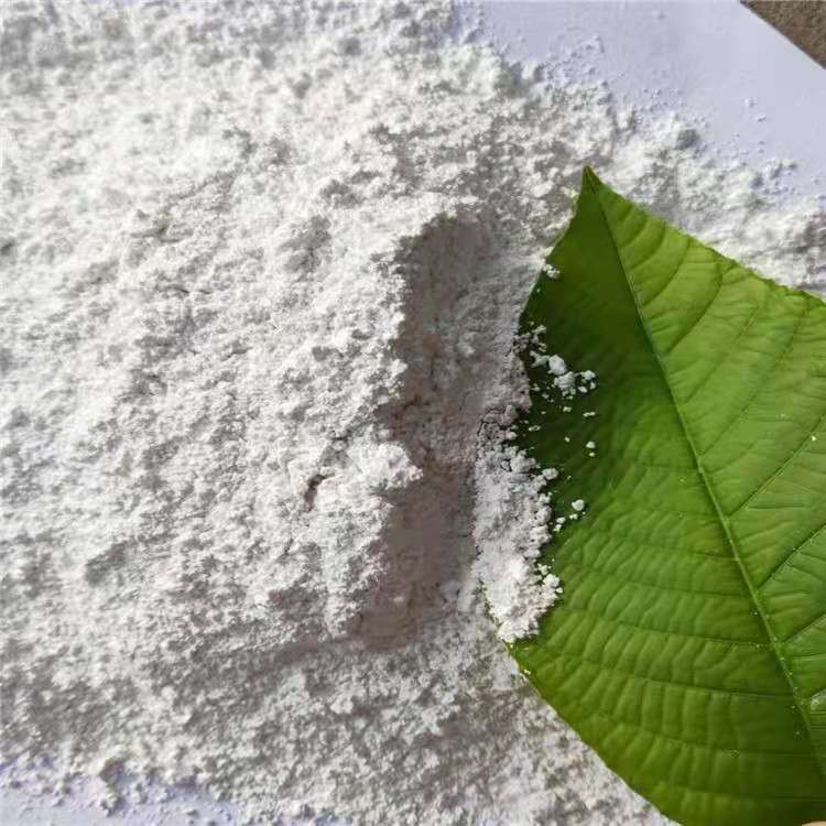 貝殼粉 貝殼粉防火 貝殼粉添加劑貝殼粉生態(tài)涂料