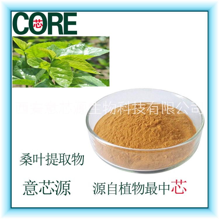 桑葉/提取物物粉/10：1/桑葉提取物液/浸膏/1800廠家DNJ