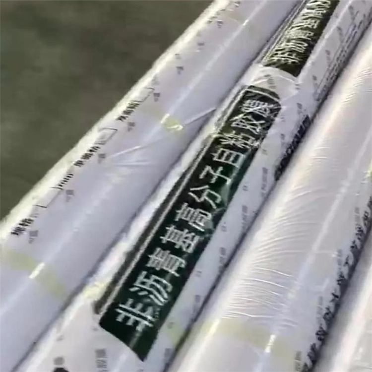 丁基阻尼防水卷材片材擠出機(jī)廠商