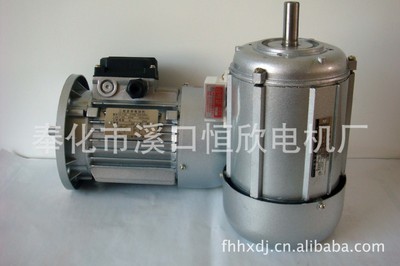 三相異步電動(dòng)機(jī)廠家報(bào)價(jià) 三相異步電動(dòng)機(jī)定制