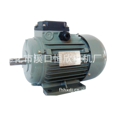 三相異步電動(dòng)機(jī)廠家報(bào)價(jià) 三相異步電動(dòng)機(jī)定制