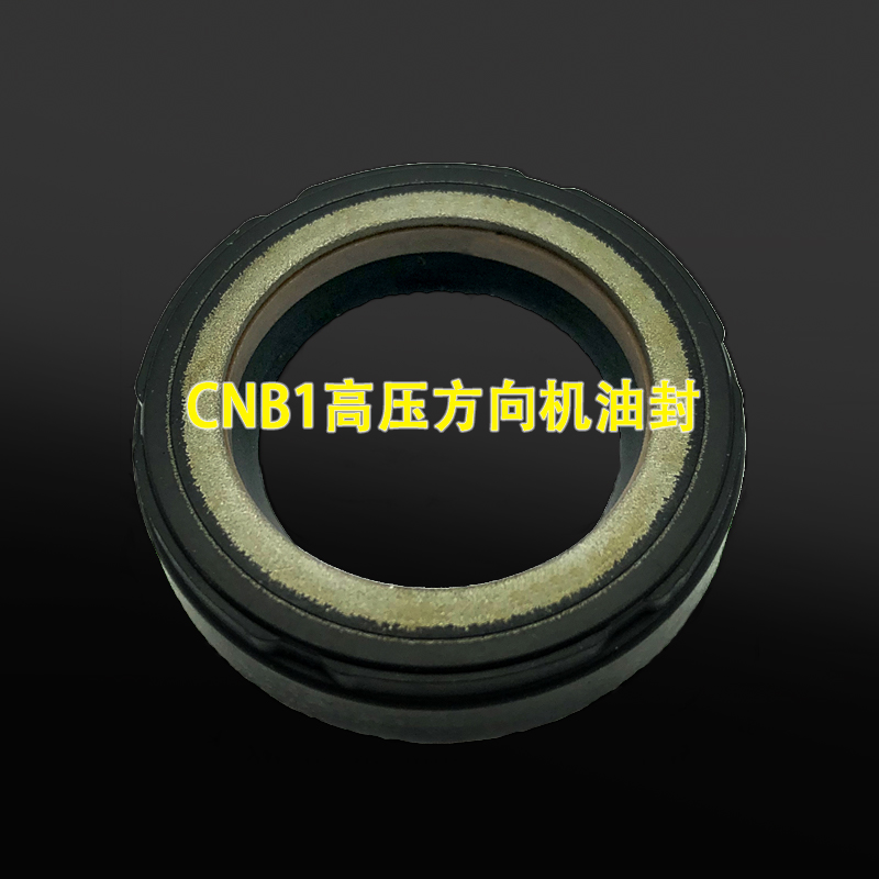 臺灣進口NAK耐高壓動力方向機骨架油封 CNB1W11耐高壓油封