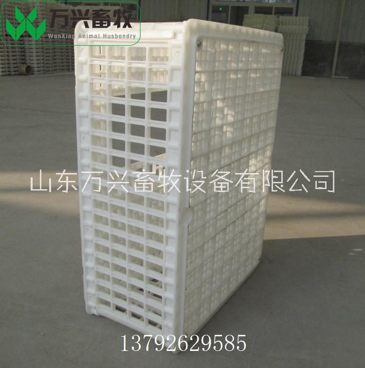 塑料雞籠 大雞轉(zhuǎn)運(yùn)籠 塑料雞筐