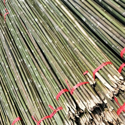 竹竿廠家 批發(fā)黃瓜架 豆角架桿 架菜竹竿苗木支撐牽引用竹稈