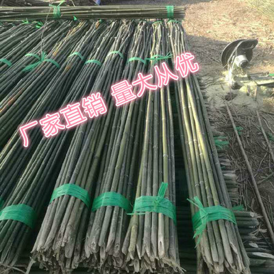 竹竿廠家 批發(fā)黃瓜架 豆角架桿 架菜竹竿苗木支撐牽引用竹稈