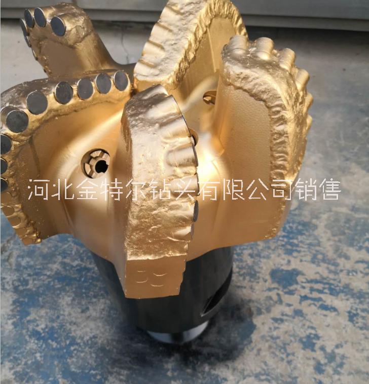 雙排齒加強(qiáng)復(fù)合片鉆頭9寸半鋼體PDC鉆頭 金剛石鉆頭