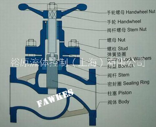 美國?？怂惯M(jìn)口蒸汽柱塞閥 進(jìn)口蒸汽柱塞閥選型應(yīng)用 （導(dǎo)熱油用柱塞閥）