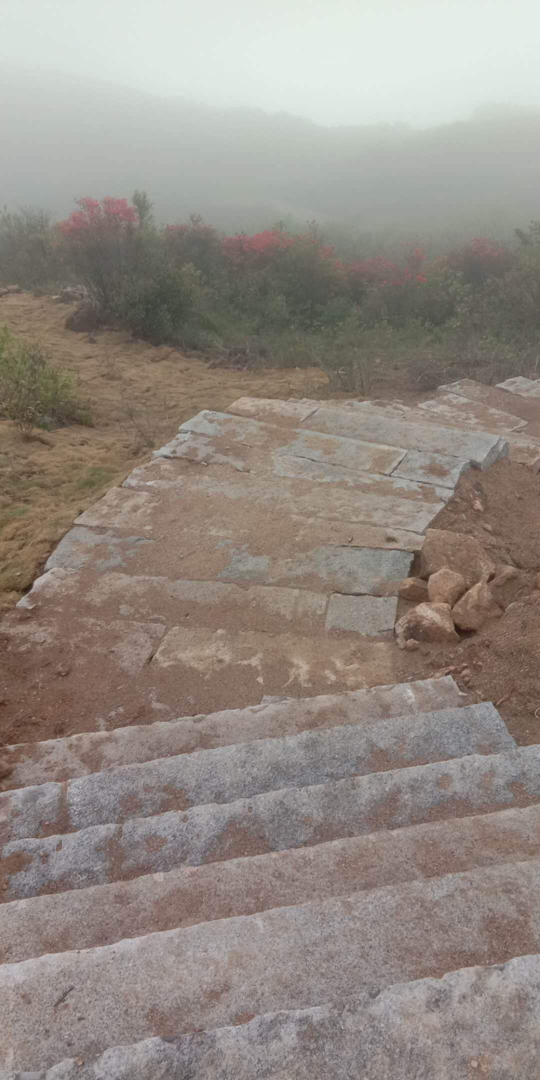 泉州老地鋪石 福建佰騰建材  廠家聯(lián)系電話 老地鋪石價格